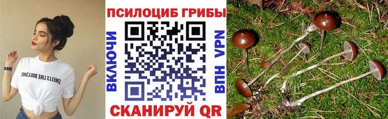 наркотики  Красногорск  Псилоцибиновые грибы прущие грибы 