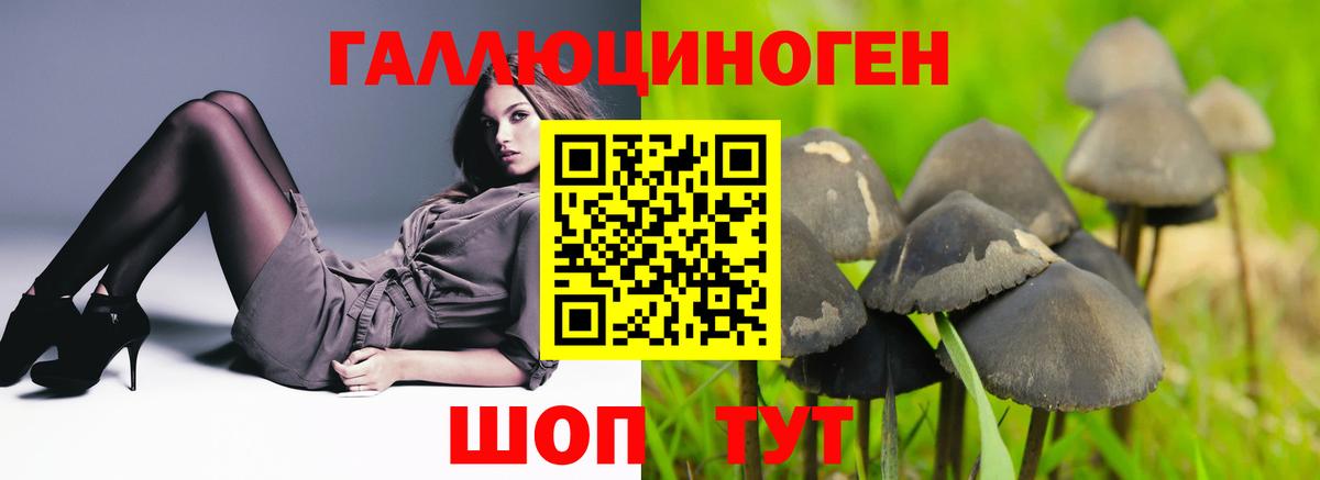 Псилоцибиновые грибы мицелий  Вход с VPN  магазин продажи   Красногорск  Галлюциногенные грибы Cubensis 